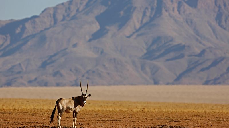 Namibie : les meilleures choses à faire et à voir en 2025 - background banner